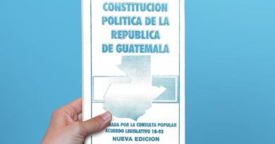 imagen de portada de Constitución Política de la República de Guatemala