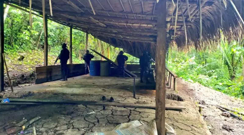 Destruyen narcolaboratorio y más de 250 mil arbustos de coca en Izabal￼￼