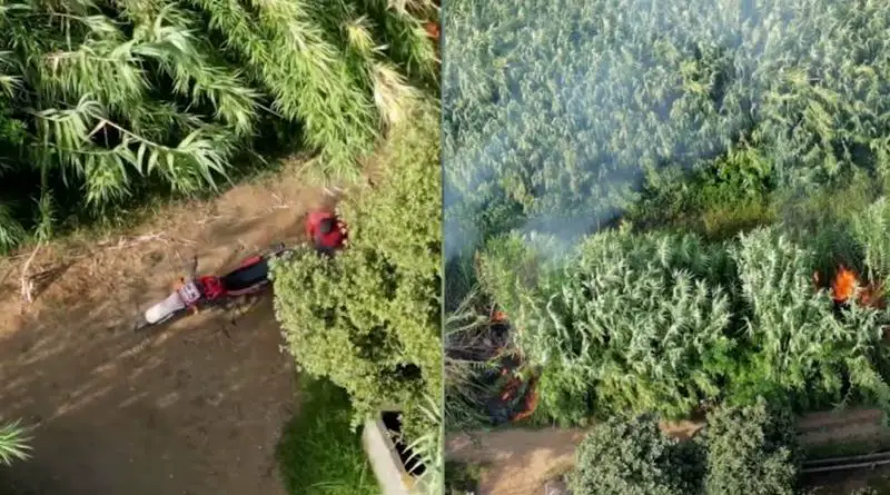 Pirómano es captado en Video