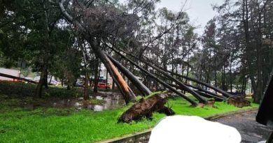 Tránsito por derrumbes, fotografías.