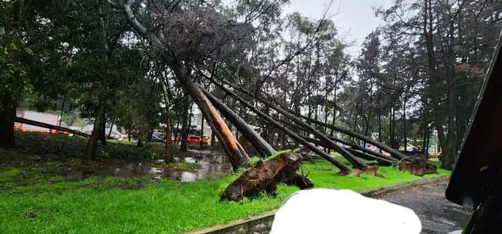 Tránsito por derrumbes, fotografías.